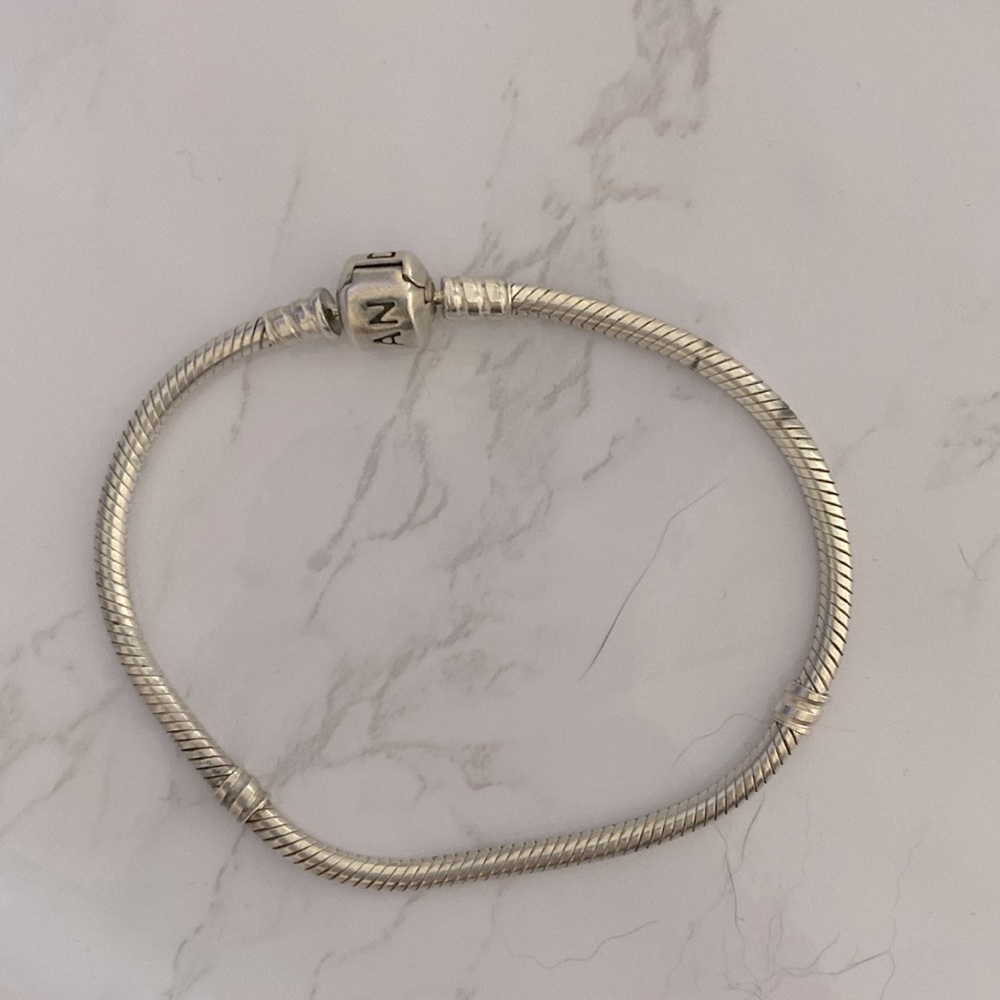 Pandora charm bracelet